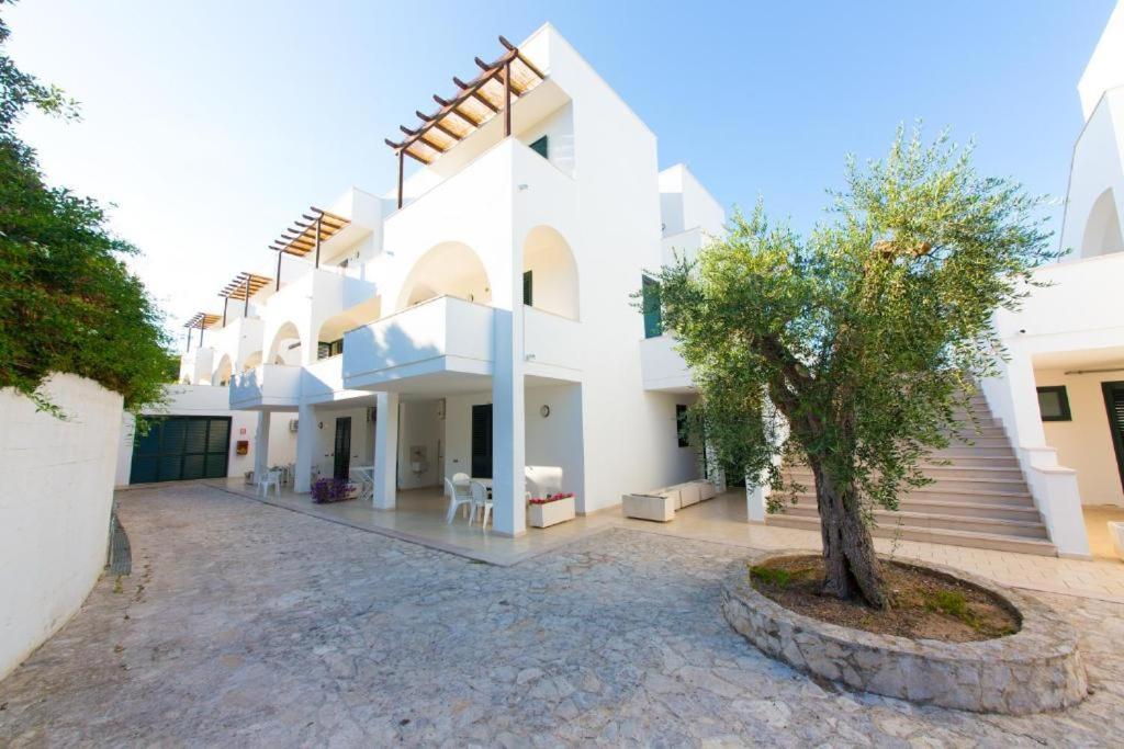 Alba Azzurra - Cdshotels 토레 델 로소 외부 사진